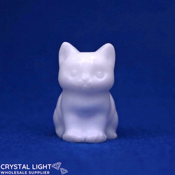 Animals: Aragonite Cat