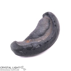 Other Fossils: Whale Earbone Fossil