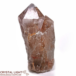 Smokey Golden Healer Twin Point (Self Healed)