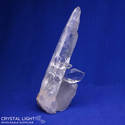 Clusters: Tourmalated Clear Quartz Laser Cluster