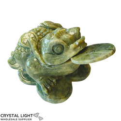 Animals: Serpentine Money Frog&nbsp;