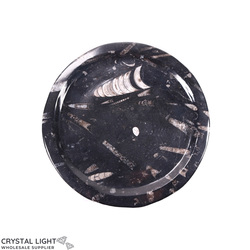 Bowls, Plates & Dishes: Orthoceras Fossil Plate (Medium)