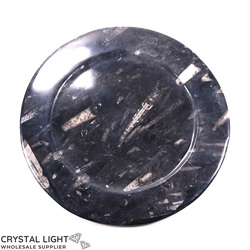 Bowls, Plates & Dishes: Orthoceras Fossil Plate (Large)