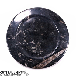 Bowls, Plates & Dishes: Orthoceras Fossil Plate (Large)
