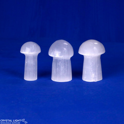 Mushrooms: Selenite Mini Mushroom