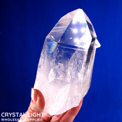 Lemurian Quartz Point (Large)