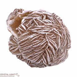 Desert Rose (Single)