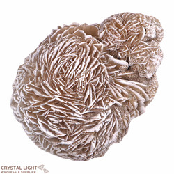 Desert Rose (Single)