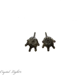 Empty Silver Ear Stud Pair