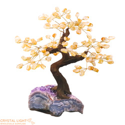 Citrine Druse Tree (Single)