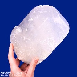 Auctions: Quartz Point (AUCTION)