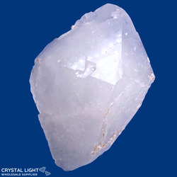 Auctions: Quartz Point (AUCTION)