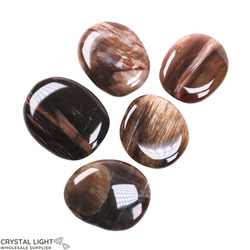 Flatstone Individuals and Lots: Petrified Wood Flatstone Lot