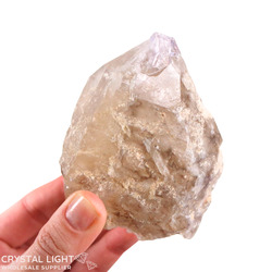 Citrine Elestial Point with Amethyst Tip
