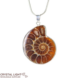 Ammonite Fossil Pendant
