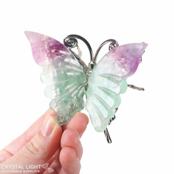 Display Pieces on Stand: Rainbow Fluorite Butterfly