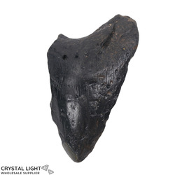 Megalodon Tooth