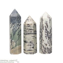 Dendritic Jasper Point