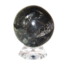 Orthoceras: Orthoceras Fossil Sphere