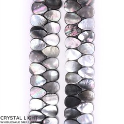 Shell Beads