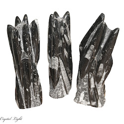Orthoceras: Orthoceras Fossil Tower Small