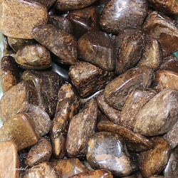 Tumbles by Weight: Bronzite Tumble 10-30mm