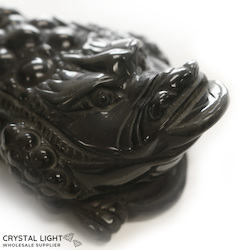 Animals: Rainbow Obsidian Money Frog
