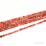 Multiple Strands Photographed