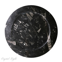 Bowls, Plates & Dishes: Orthoceras Fossil Plate