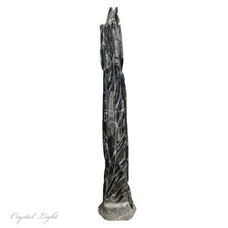 Orthoceras: Orthoceras Fossil Tower Large