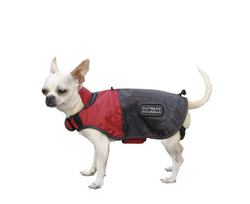 Pet Attire: Rain Jacket - X - Sm