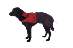 Pet Attire: Rain Jacket - Lg