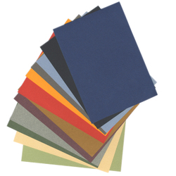 Pastel: Canson Mi-Teintes 500 x 650