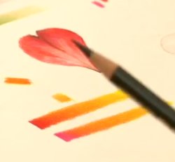 Tips & Techniques: Faber-Castell Polychromos Pencil Video Demo
