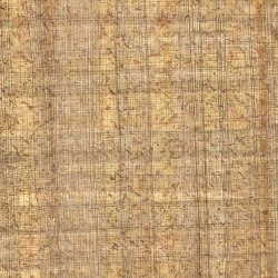Egyptian Papyrus: Flecked Papyrus