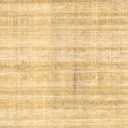 Egyptian Papyrus: Light Papyrus