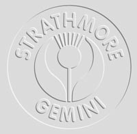 Watercolour: Strathmore Gemini Series 500 Watercolor Sheets