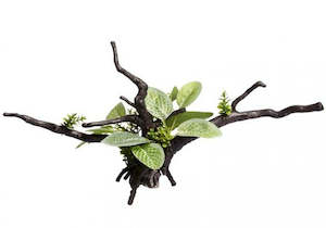 Aquarium Ornaments: Aqua One Ignotous Driftwood