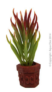 Aqua One Ornament - Betta Green/Red Plant On Rock 10cm