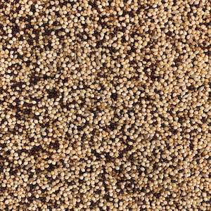 Tui Bird Seed - Finch Mix 500gm