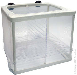 Aquarium Breeder Net Seperation Box - For Babies, sick or injured fish