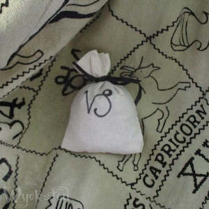 Capricorn Zodiac Pouch