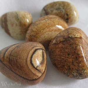 Tumbled A M: Jasper, Picture 8-10gms