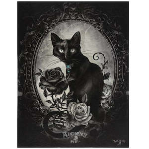 The Philosopher's Familiar Canvas