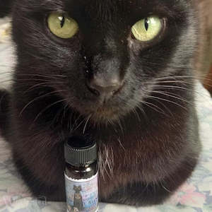 Familiars: Bastet the Cat Goddess Oyle Blend