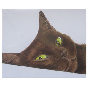 Greeting Card Furry Brown Cat