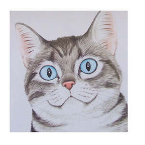 Greeting Card Furry Logic Silver Tabby - Clearance Stuff