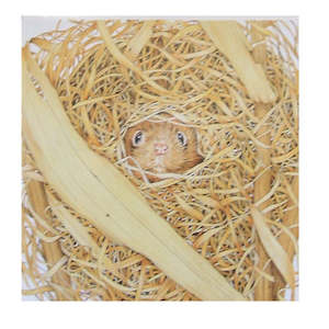 Greeting Card Furry Logic Mouse - Clearance Stuff