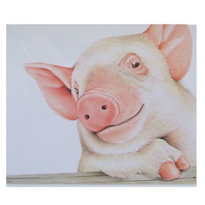 Greeting Card Furry Logic Pig -Clearance Stuff