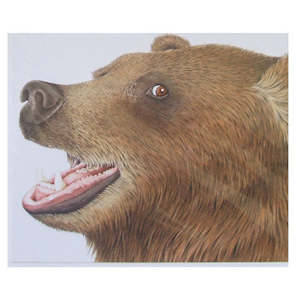 Greeting Card Furry Logic Brown Bear